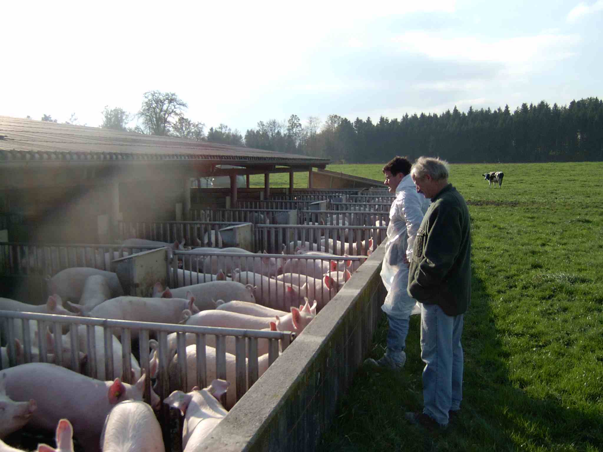 Betriebskontrolle CNfPorc 2004sk kl